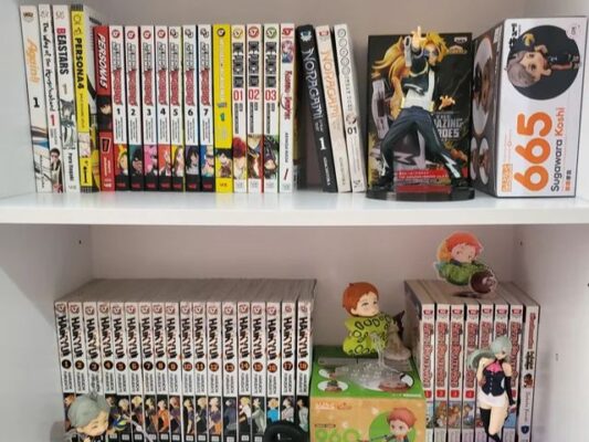 Anime Bookshelf
